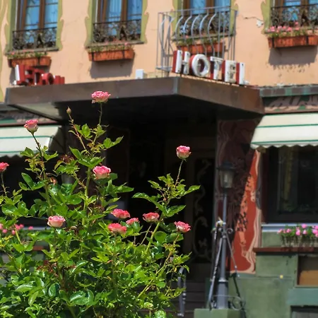 Hotel Pohl's Rheinhotel Adler