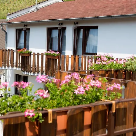 Hotel Pohl's Rheinhotel Adler 3*